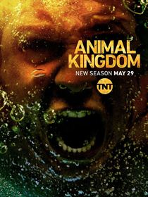 Animal Kingdom Saison  en streaming