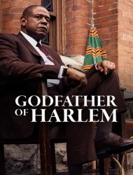 Godfather of Harlem Saison  en streaming