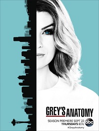 Grey's Anatomy Saison  en streaming