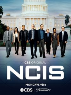 NCIS : Enquêtes spéciales Saison  en streaming