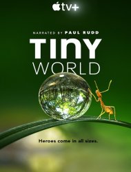Tiny World Saison  en streaming